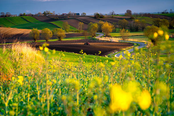 Autumn landscape