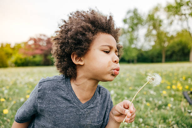 istock Boy blowing seeds off dandelion, close up, side view 2207001865