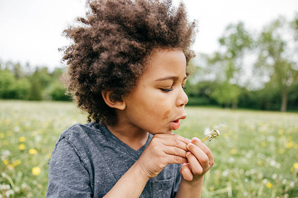 istock Boy blowing seeds off a dandelion, close up, side view 2207001870