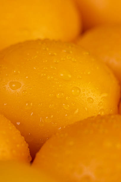 suspended lemon