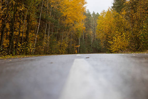 istock a small paved road in autumn is wet after rain 2207005599