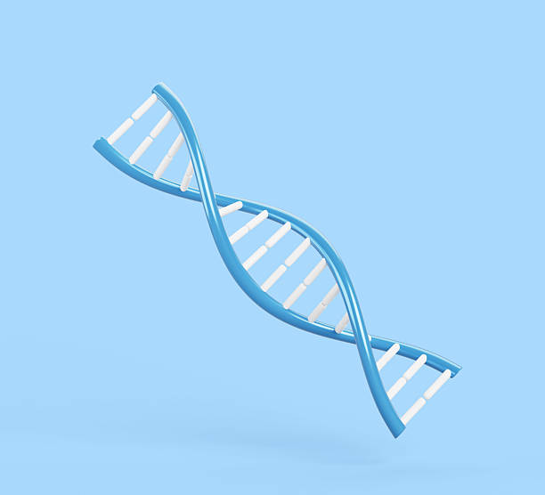 istock 3d DNA or deoxyribonucleic acid, molecule in shape of double helix. Spiral dnk model for science research, genetic experiment, genome analysis in molecular biology Cartoon render icon 2207006772