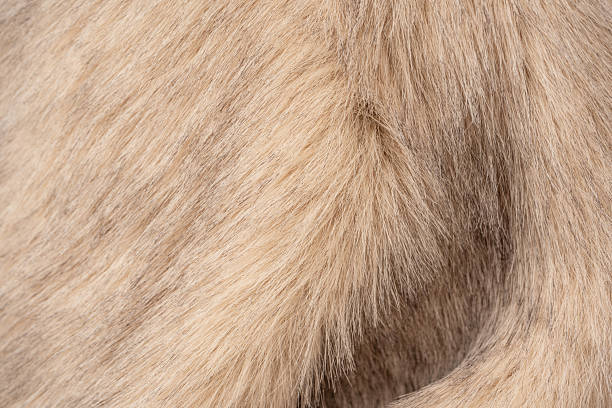 Texture of faux fur as a background, top view.
