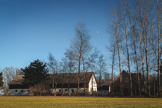 A rustic farmhouse in Denmark sits amidst tall trees, with a clear blue sky overhead and the moon visible, creating a peaceful atmosphere.