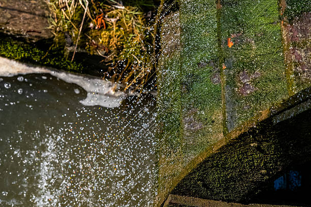 Water cascades over a weathered wooden surface, creating droplets that sparkle in the sunlight. The scene captures the tranquility of a natural environment by a waterway.
