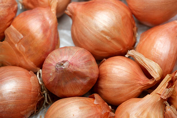 istock Fresh shallots gathered in a rustic basket ready for culinary masterpieces 2207016177