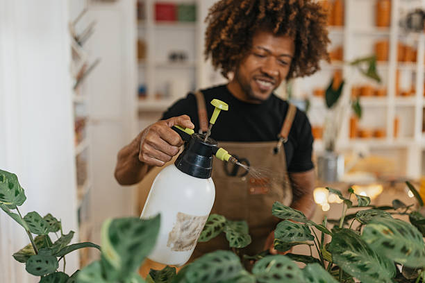 istock Man Spraying Water on Indoor Plants in Shop 2207018580