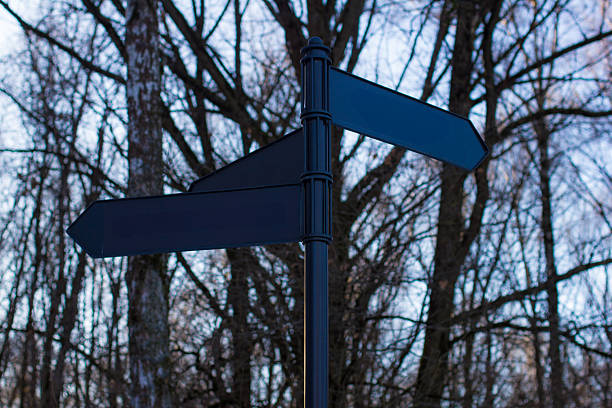 Three direction arrows stand against a backdrop of bare winter trees symbolizing choice and navigation. The dark silhouette of the sign contrasts with the light sky, creating a striking visual effect.