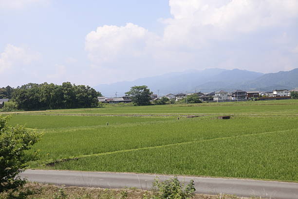 istock Rural Landscape with Rice Fields, Village, and Mountains 2207022096