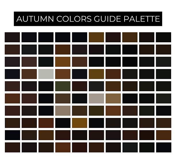 istock Comprehensive autumn color palette chart featuring rich earth tones and warm seasonal hues. Perfect for designers, decorators, and branding inspiration. 2207027274