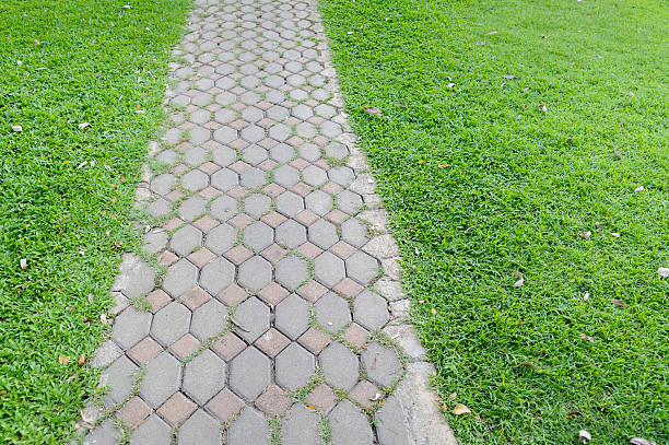 istock stone walkway and green grass in garden 2207028180