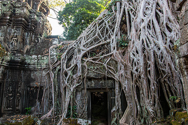 istock Ta Prohm Temple Entrance Engulfed by Giant Tree Roots, Cambodia 2207028297