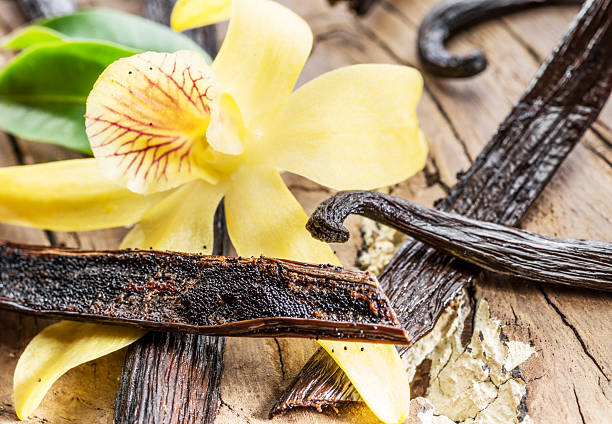 Small black tiny vanilla seeds in opened bean and vanilla flower close up.