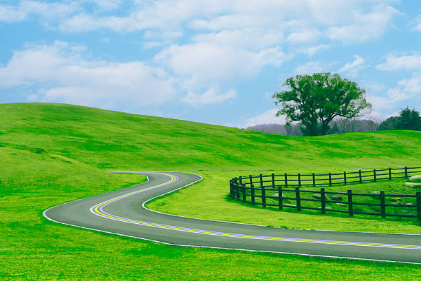 The grassland road under the blue sky and white clouds.