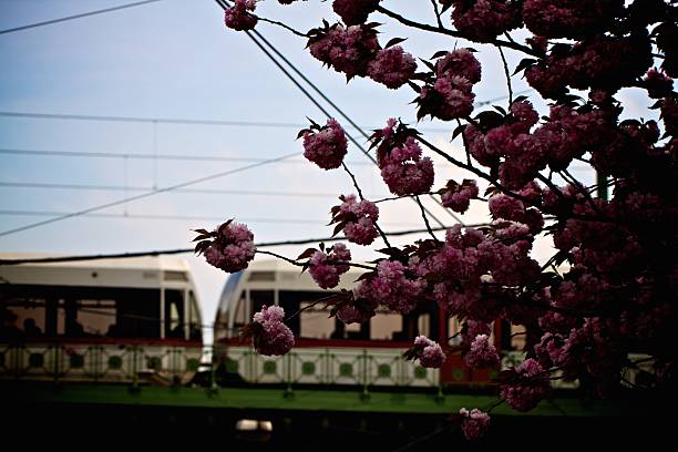 istock Cherry Blossoms with Train in Urban Setting 2207031891
