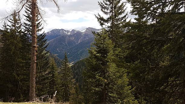 istock South Tyrol Mountains and Forest 2207038197