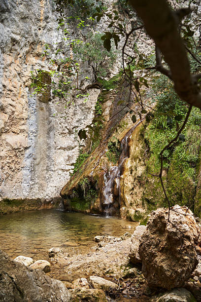 Gentle waterfall cascading into a serene natural pool, surrounded by rugged rocks and lush vegetation within a tranquil canyon, creating an idyllic and peaceful atmosphere