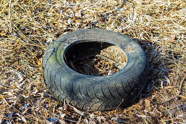 A worn tire lies on parched grass, surrounded by scattered leaves and debris under bright sunlight.
