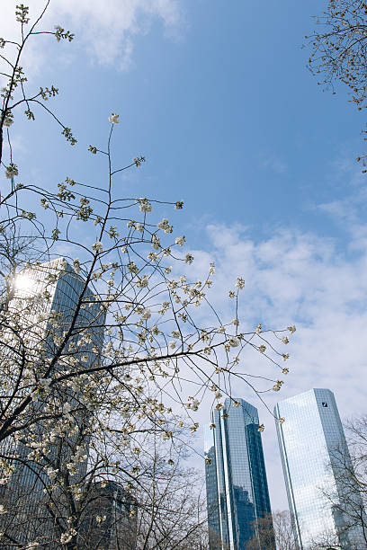 istock FRANKFURT-AM-MAIN, GERMANY - MARCH - April 2025. 2207046804