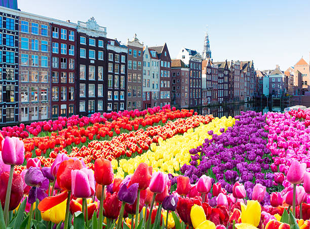 istock Houses of Amstardam, Netherlands 2207047608