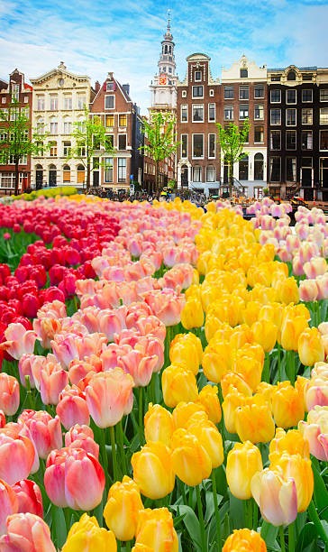 Houses of Amstardam, Netherlands