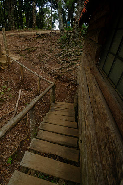 istock Wooden stairs leading to cabin 2207047871