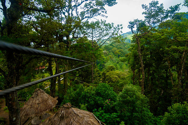 A man and a woman is walking across a challenging ropes course in the extreme park.