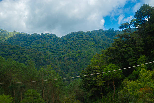Dandeli, Karnataka-3rd november 2023:Two men ziplining across a lush green forest, crossing the river.