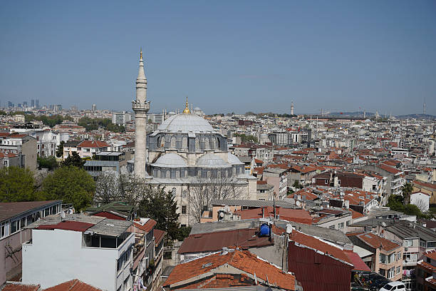 istock Cerrahpasa Mosque in Istanbul, Turkiye 2207054037