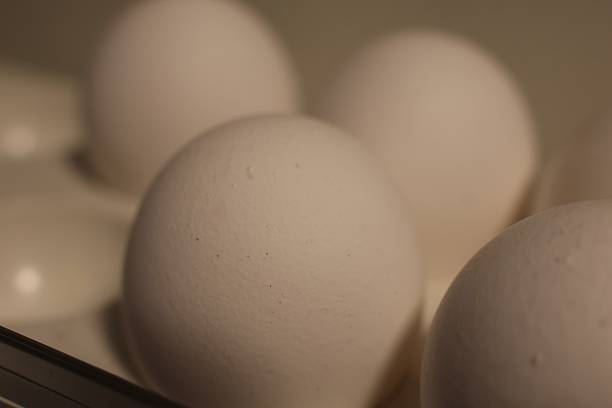 istock A closeup of an egg 2207055114