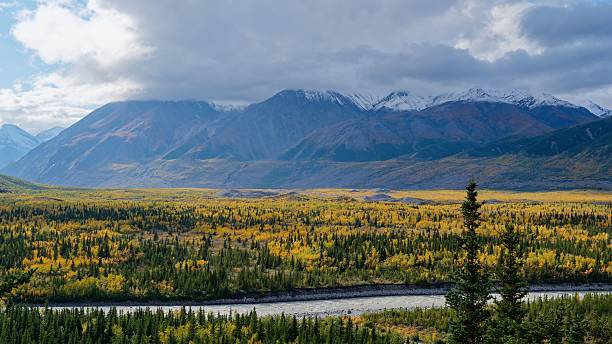 istock Scenic forest and mountains in Denali National Park. 2207057627
