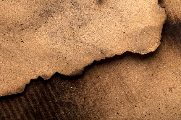 istock Brown craft paper pieces with burnt edges 2207059481