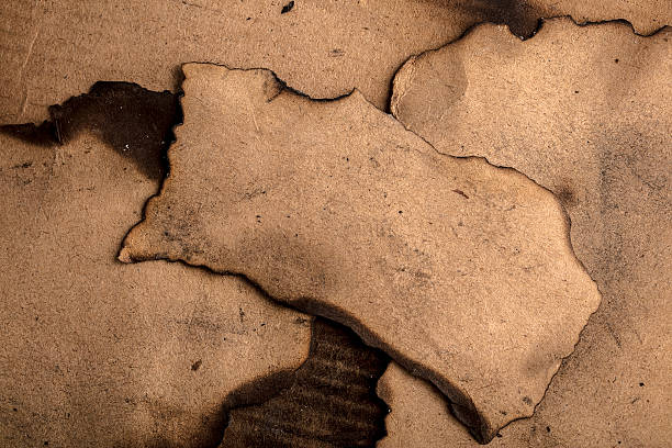 istock Brown craft paper pieces with burnt edges 2207059497