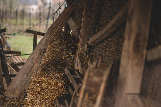 istock Old rustic shed in the countryside 2207060470