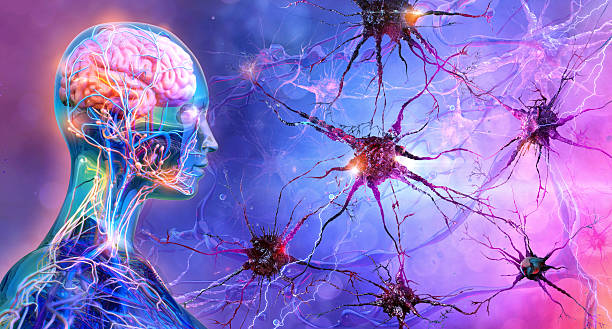 Brain neurons. Concept of logical thinking, intelligence, mental capacity, mind games Brain neurons. Concept of logical thinking, intelligence, mental capacity, mind games, psychology, depression, mental health disorders problem. Stress, panic, anxiety, pain, exhaustion disorders, 3D illustration neural technology stock pictures, royalty-free photos & images