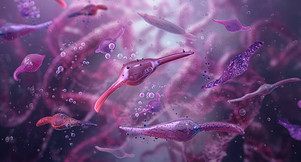 istock Mycoplasma pneumoniae bacteria infecting lung tissue, a microscopic view 2207060521