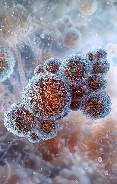 istock Ureaplasma bacteria pathogenic microorganism. Urogenital tract disease 2207060769
