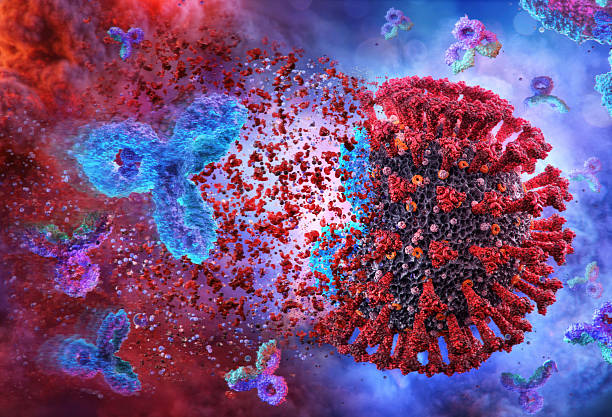 istock Viral particle destruction. mRNA vaccine interacting with virus. mRNA vaccine development technology 2207060785