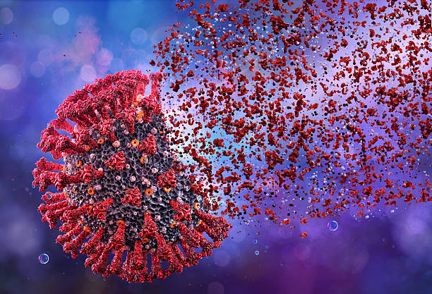 istock Viral particle destruction. mRNA vaccine interacting with virus. 2207060790