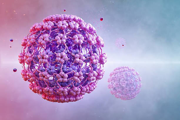 istock Human Papillomavirus HPV, DNA virus. 2207060834