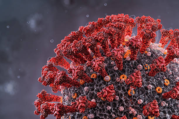 istock 3D rendering of coronavirus particle with detailed spike proteins 2207060847