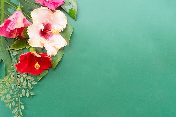Tropical border of flowers and leaves, summer vacational background