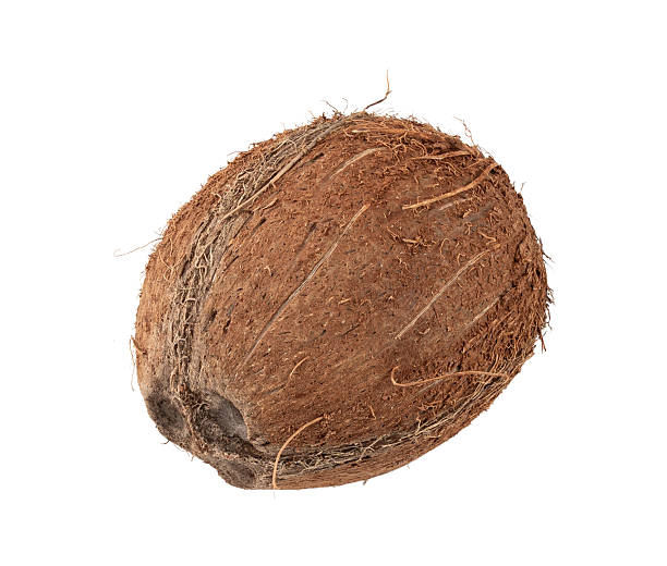 istock Whole coconut, one coco nut isolated, single fresh tropical palm fruit, natural milk, oil ingredient 2207062848