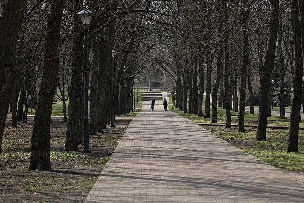 A couple strolls along a paved pathway lined with barren trees in a serene park setting. The atmosphere is calm, hinting at the arrival of spring as they enjoy their time together.
