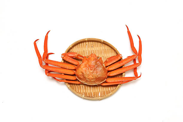 istock Boiled snow crab on a bamboo colander isolated on a white background. 2207065169