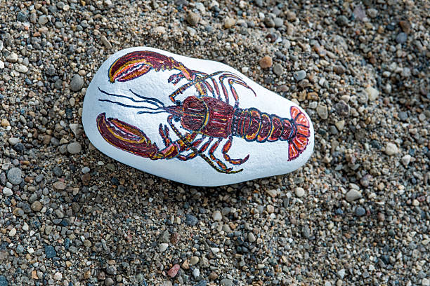 Painted rock of live lobster on brown, sandy beach.