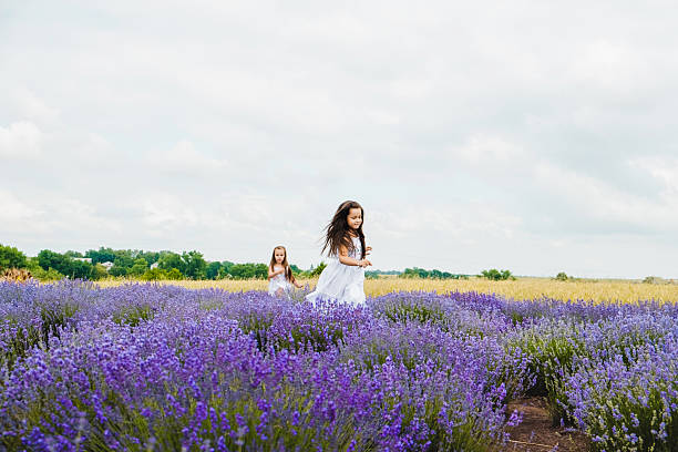 A black-haired girl is resting in a fragrant lavender field. A beautiful girl is resting in the field. A nice girl smiling beautifully in a lavender field.