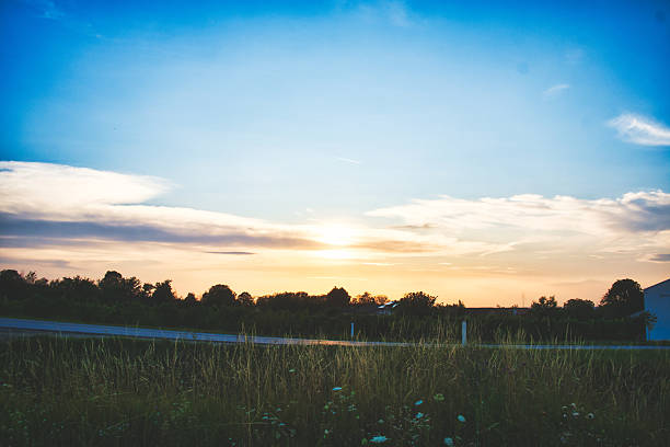 A serene sunset scene with a vibrant sky transitioning from blue to orange, silhouetted trees in the foreground, and a grassy field. The horizon is dotted with clouds, creating a peaceful atmosphere.