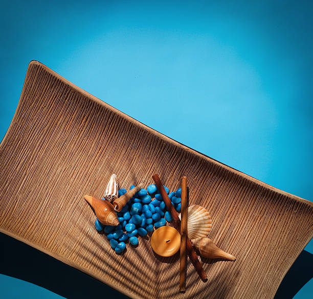 Shadow of leaves falling on seashells and stones on a blue background