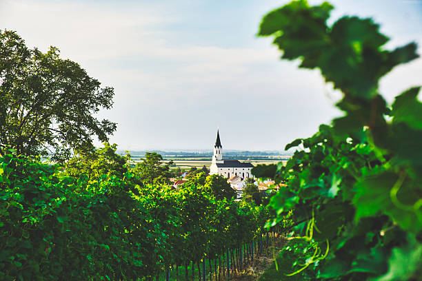 istock Scenic Vineyard with Church Spire in Background 2207074135